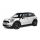 COUNTRYMAN